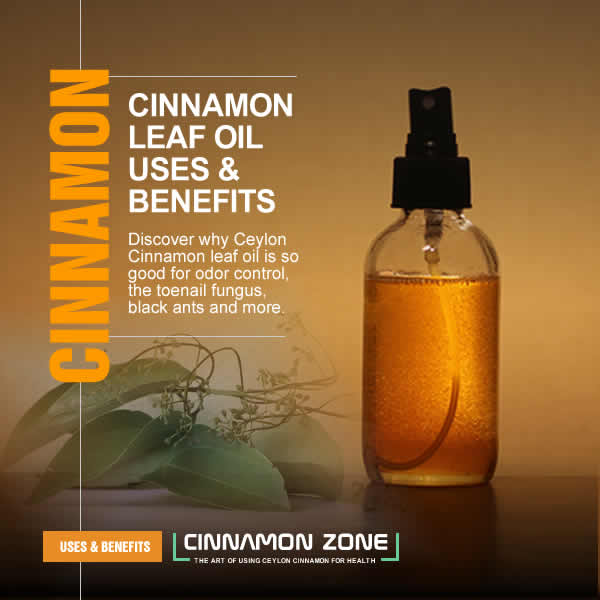 ceylon cinnamon leaf oil